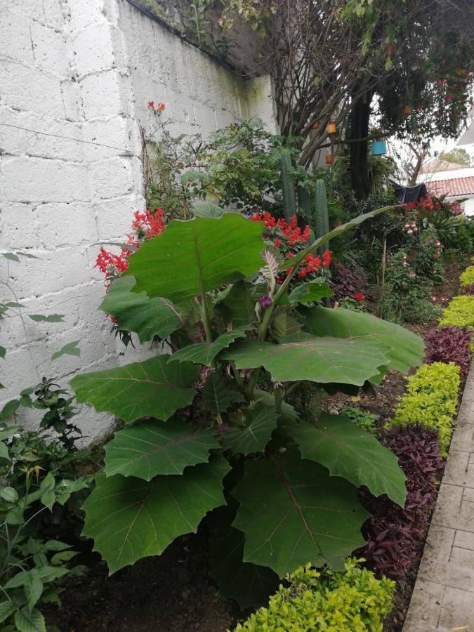 Casatodosantos Acomodação com café da manhã Cuenca Exterior foto